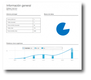 informe einnova informe general